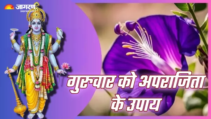 Guruwar Ke din Aparajita Phool Ke Upay