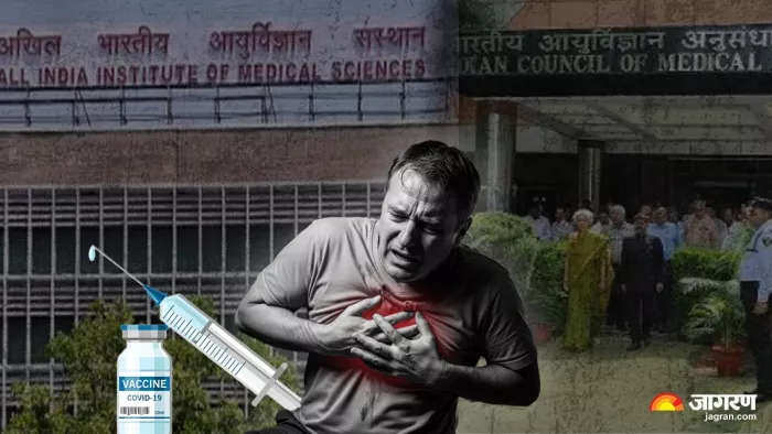ICMR ने कहा कि कोविड वैक्सीन का युवाओं में अचानक होने वाली मौतों से कोई ताल्लुक नहीं है।