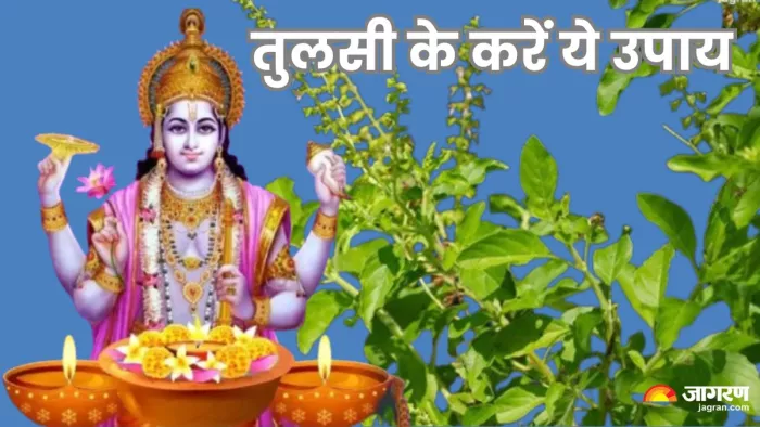 इस साल देवशयनी एकादशी (Devshayani Ekadashi 2025) का व्रत 6 जुलाई को रखा जाएगा।