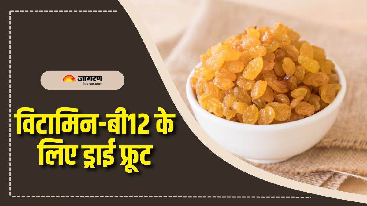 https://www.jagranimages.com/images/newimg/02072025/02_07_2025-kishmish_for_vitamin_b12_23972931.jpg