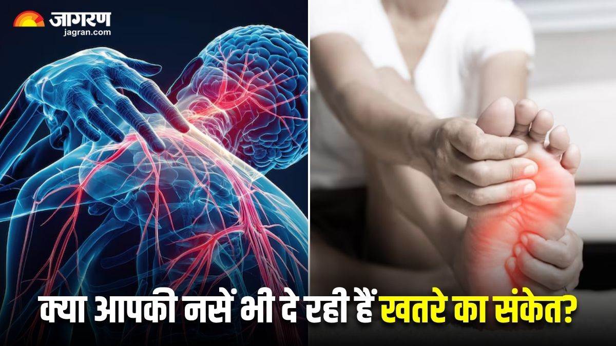 https://www.jagranimages.com/images/newimg/02072025/02_07_2025-nerve_disease_symptoms_23973468.jpg