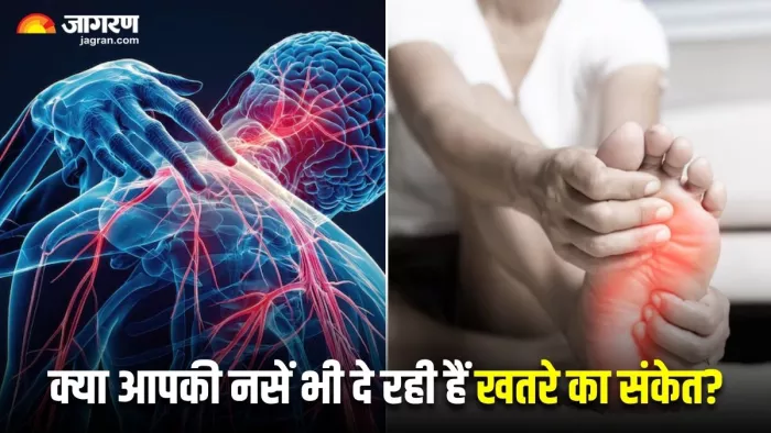 5 संकेत, जो करते हैं नसों की बीमारी की ओर इशारा (Image Source: Freepik)
