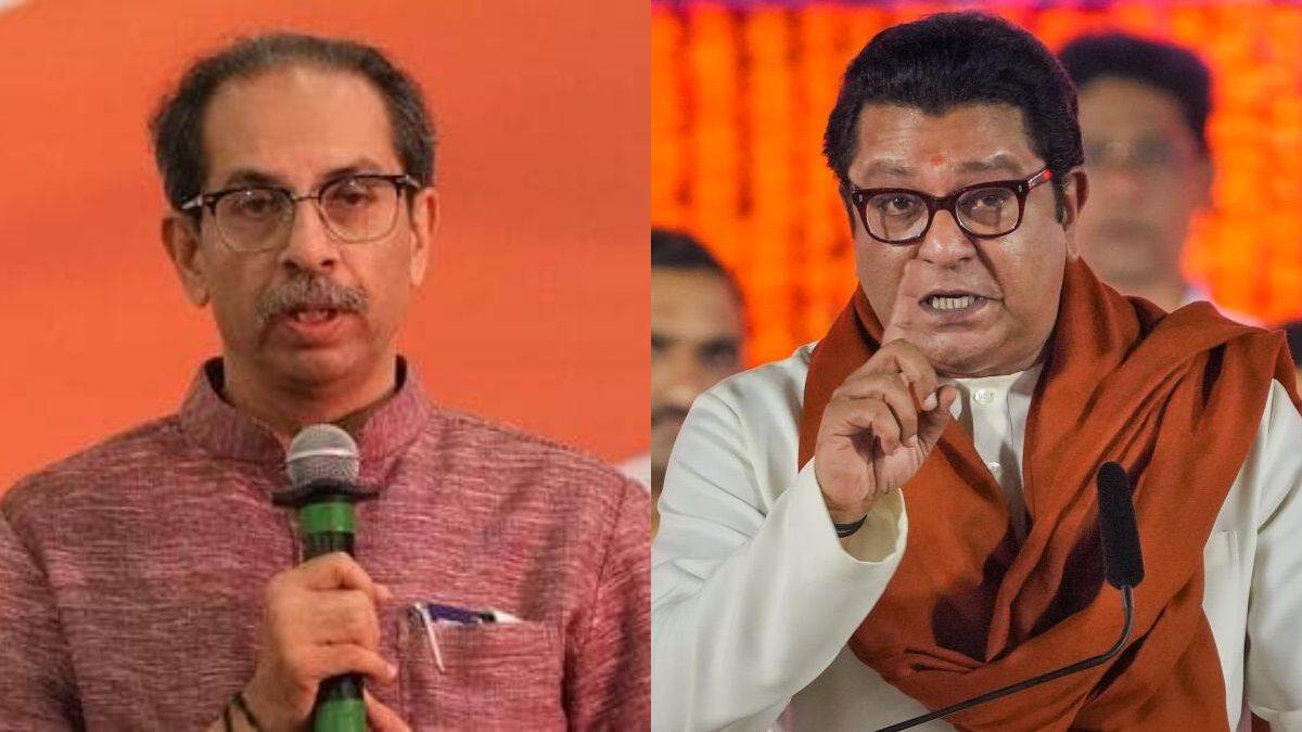 narayan rane rejects thackeray alliance uddhav will become irrelevant
