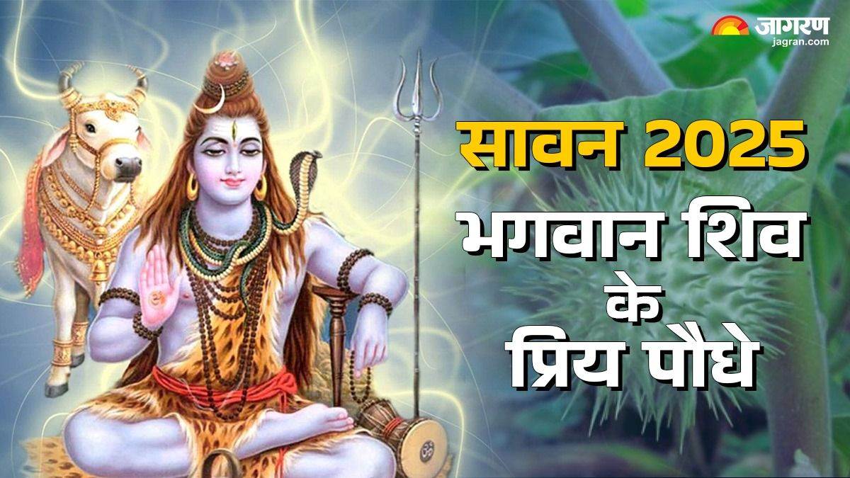 https://www.jagranimages.com/images/newimg/02072025/02_07_2025-sawan_2025_3_23972806_104950580.jpg