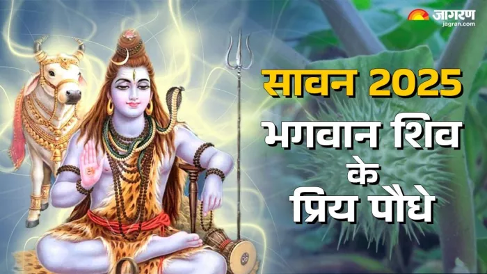Sawan 2025: इन पौधों को लगाने से बरसेगी महादेव की कृपा
