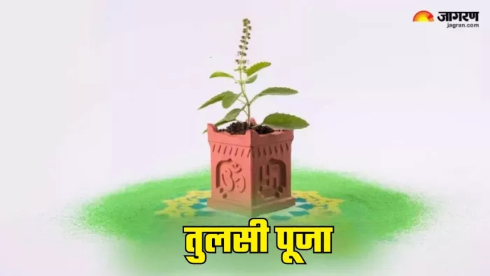 Tulsi Chalisa: तुलसी चालीसा पाठ के लाभ