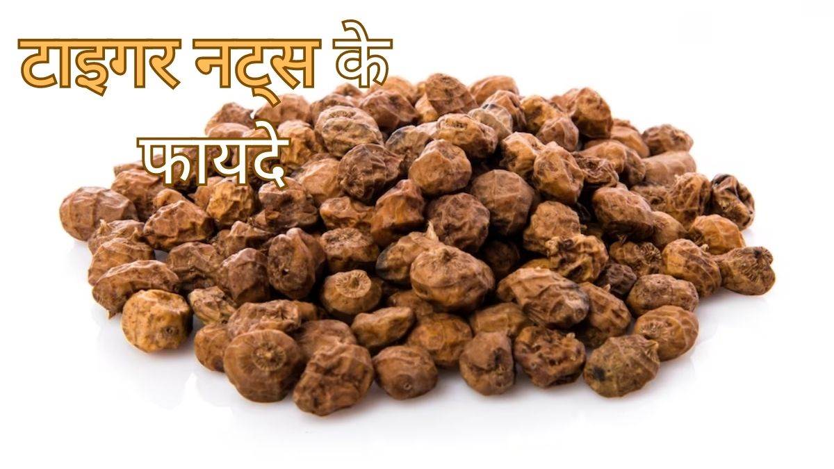 https://www.jagranimages.com/images/newimg/02082023/02_08_2023-tiger_nuts_benefits_23489217.jpg