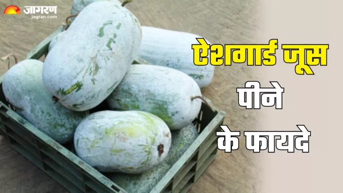 हेल्दी रहने के लिए पिएं ऐशगार्ड का जूस (Picture Credit- Freepik)