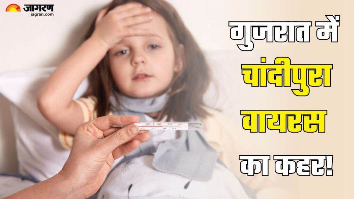 https://www.jagranimages.com/images/newimg/02082024/02_08_2024-chandipura_virus_23770892.jpg
