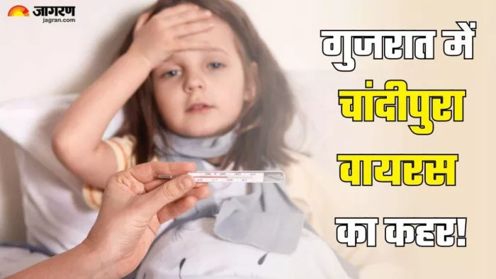 चांदीपुरा वायरस के मामलों में तेजी आई है और सबसे ज्यादा मामले गुजरात से सामने आ रहे हैं।
