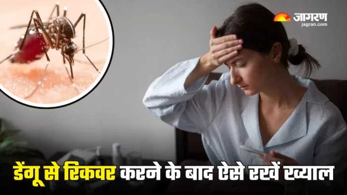 Post-Dengue Care के लिए डॉक्टर से जानें ये टिप्स (Picture Courtesy: Freepik)