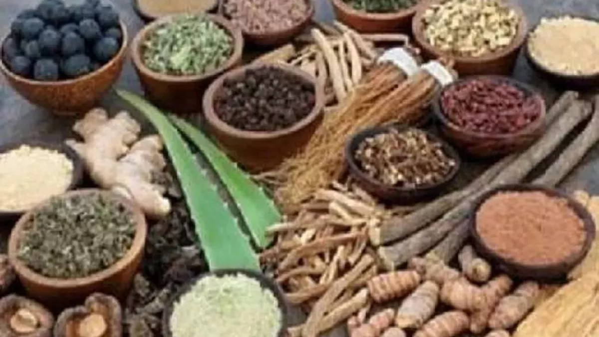 बीएचयू आयुर्वेद विभाग और औरंगाबाद की संयुक्त टीम करेगी व‍िंध्‍य क्षेत्र की जड़ी बूट‍ियों का अध्ययन