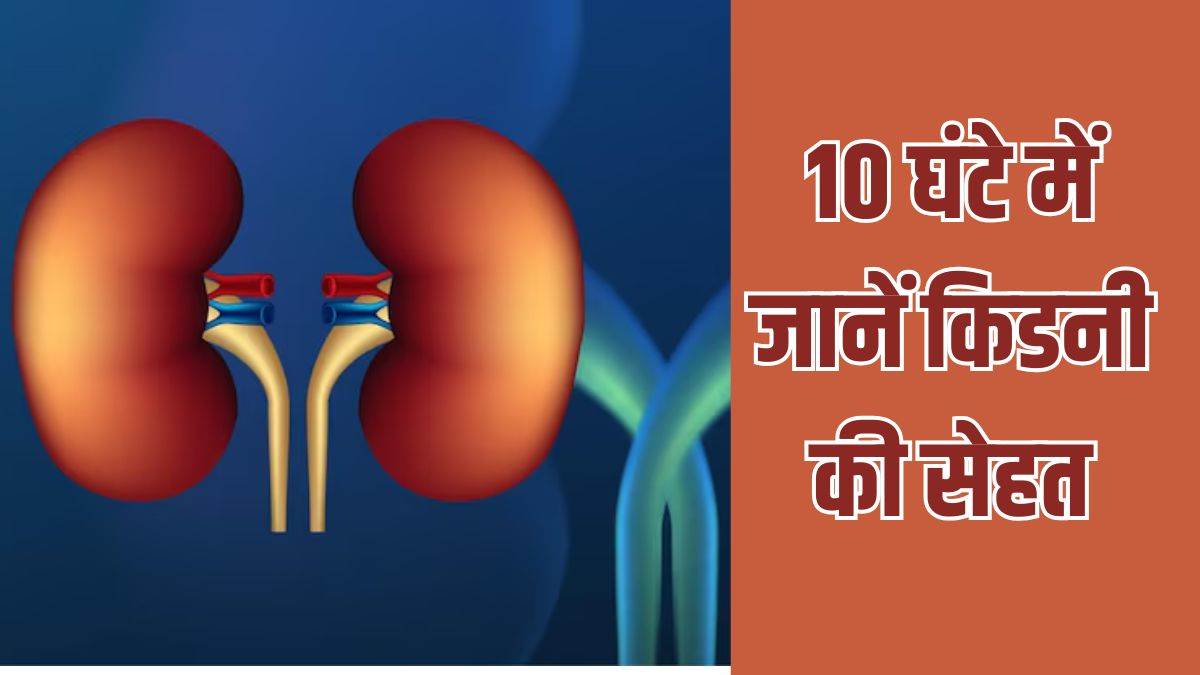 https://www.jagranimages.com/images/newimg/02082025/02_08_2025-kidney_health_24001405.jpg