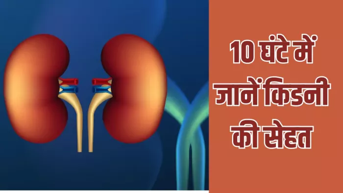 किडनी की सेहत बताएगा पेशाब (Image Credit- Freepik)