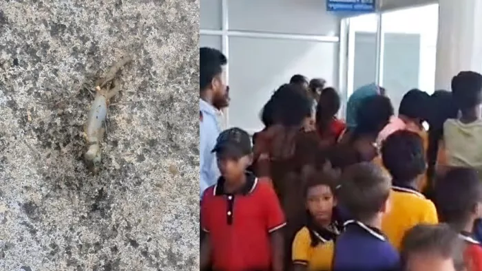मध्यान्ह भोजन में छिपकली के कारण 60 से अधिक छात्र बीमार