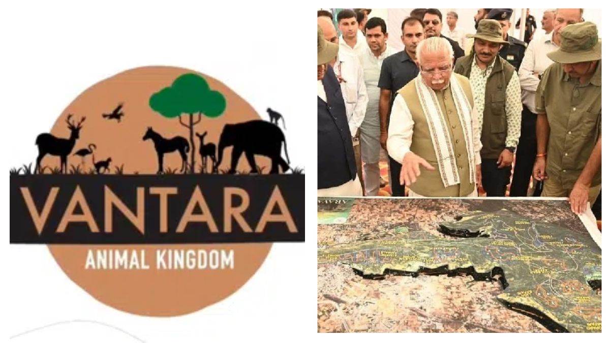 ncr aravali jungle safari vantara team to prepare dpr for worlds largest park