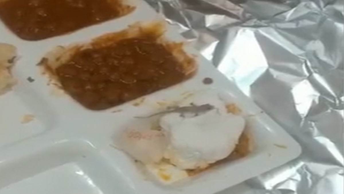 reports about lizard found in food in chandigarh nexus elante action will be taken on negligence of restaurant