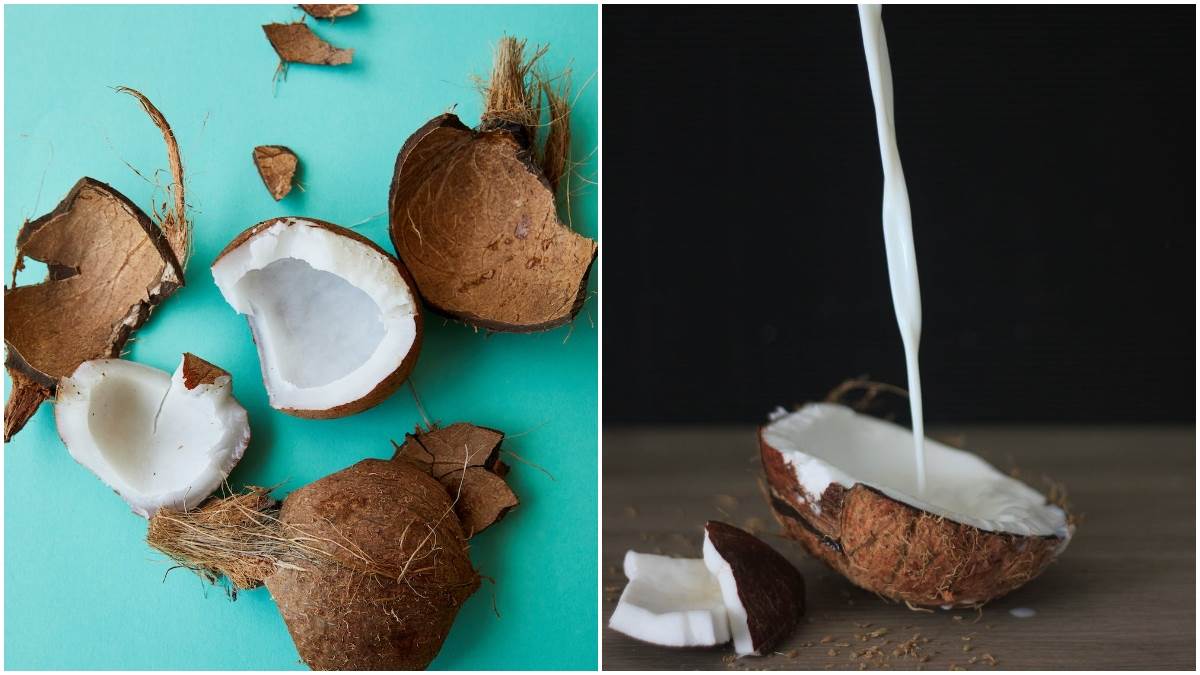 https://www.jagranimages.com/images/newimg/02092022/02_09_2022-world-coconut-day-2022_23035390.jpg
