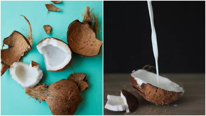 World Coconut Day: जानें 'नारियल का दूध' के 7 चमत्कारी फायदे