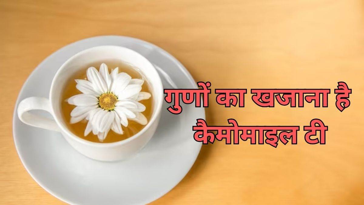 https://www.jagranimages.com/images/newimg/02092023/02_09_2023-chamomile_tea_23519757.jpg