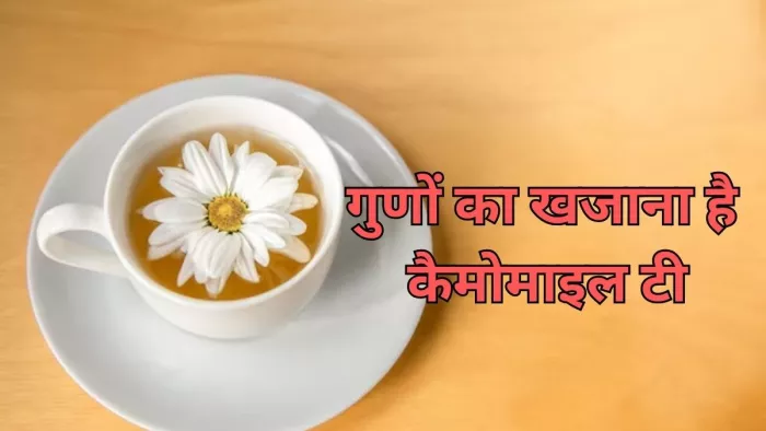 Chamomile Tea Benefits: कैमोमाइल टी के फायदे जानकर हो जाएंगे हैरान