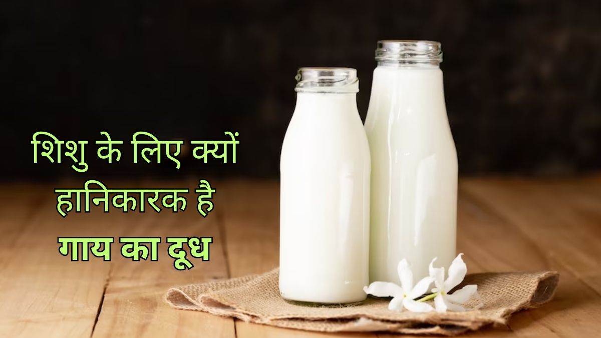 why is cow milik bad for babies below one year know reason