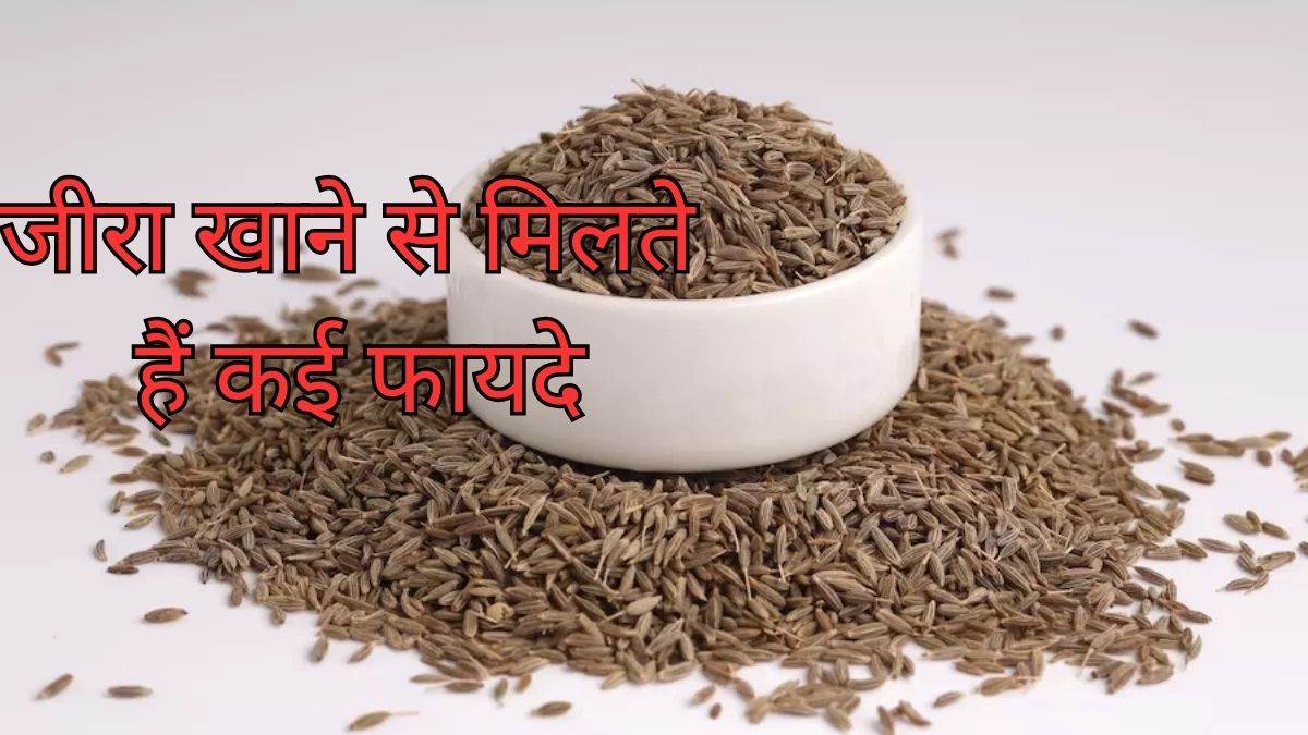 कोलेस्ट्रॉल कम करने से लेकर वजन कंट्रोल करने तक, जीरा खाने से मिलते हैं