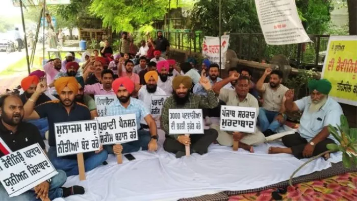 सरकार ने रिटायर्ड पटवारियों को दो सर्किलों की दी जिम्मेदारी, फाइल फोटो