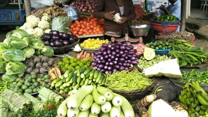 नगर में 30 से 50 रुपये किलो बिक रहा, भिंडी और आलू के गिरे भाव-मूली।
