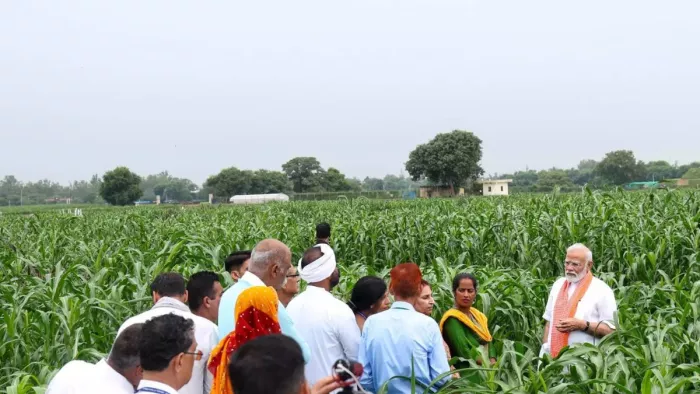 किसानों की आय में होगी बढ़ोतरी (फाइल फोटो)