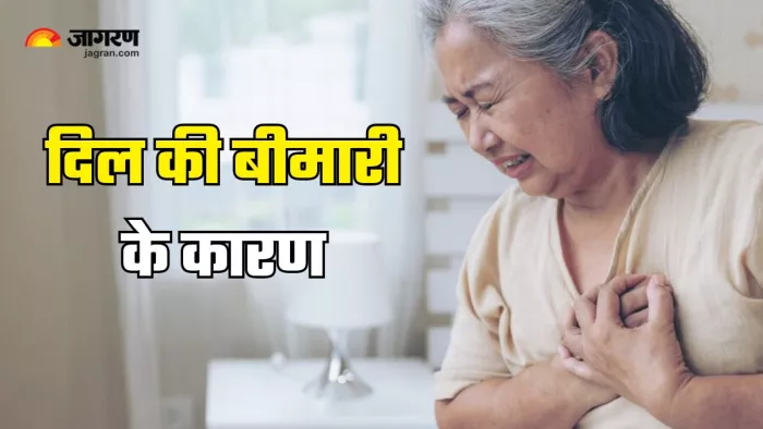 दिल की बीमारी का खतरा कम कैसे करें? (Picture Courtesy: Freepik)