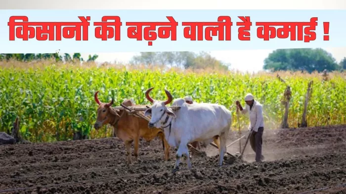सरकार का फोकस बागवानी पर भी है।