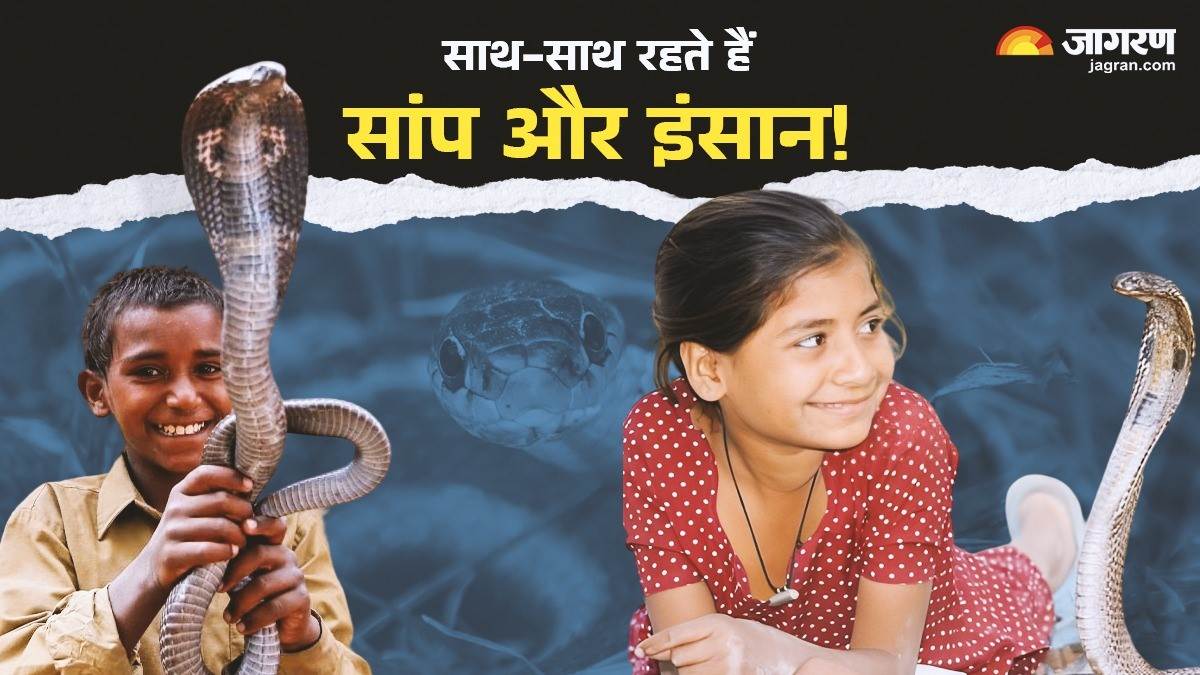 https://www.jagranimages.com/images/newimg/02092024/02_09_2024-shetpal_village_india_snakes_23789686.jpg