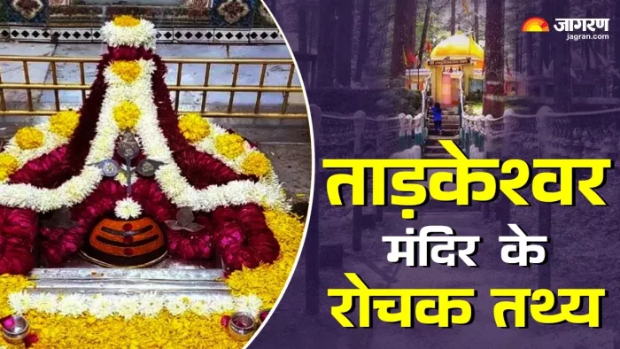 Tadkeshwar Shiva Temple: मंदिर के ऊपर नहीं है छत।