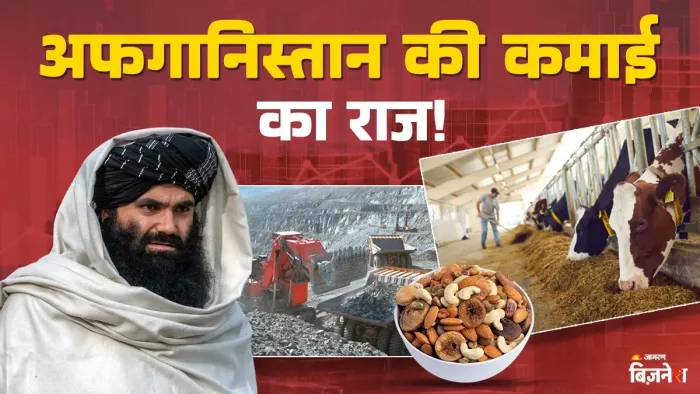 जिस अफगानिस्तान से भागने पर मजबूर हुआ था अमेरिका, कितना गरीब है वो तालिबानी देश; कैसे-कैसे करता है कमाई