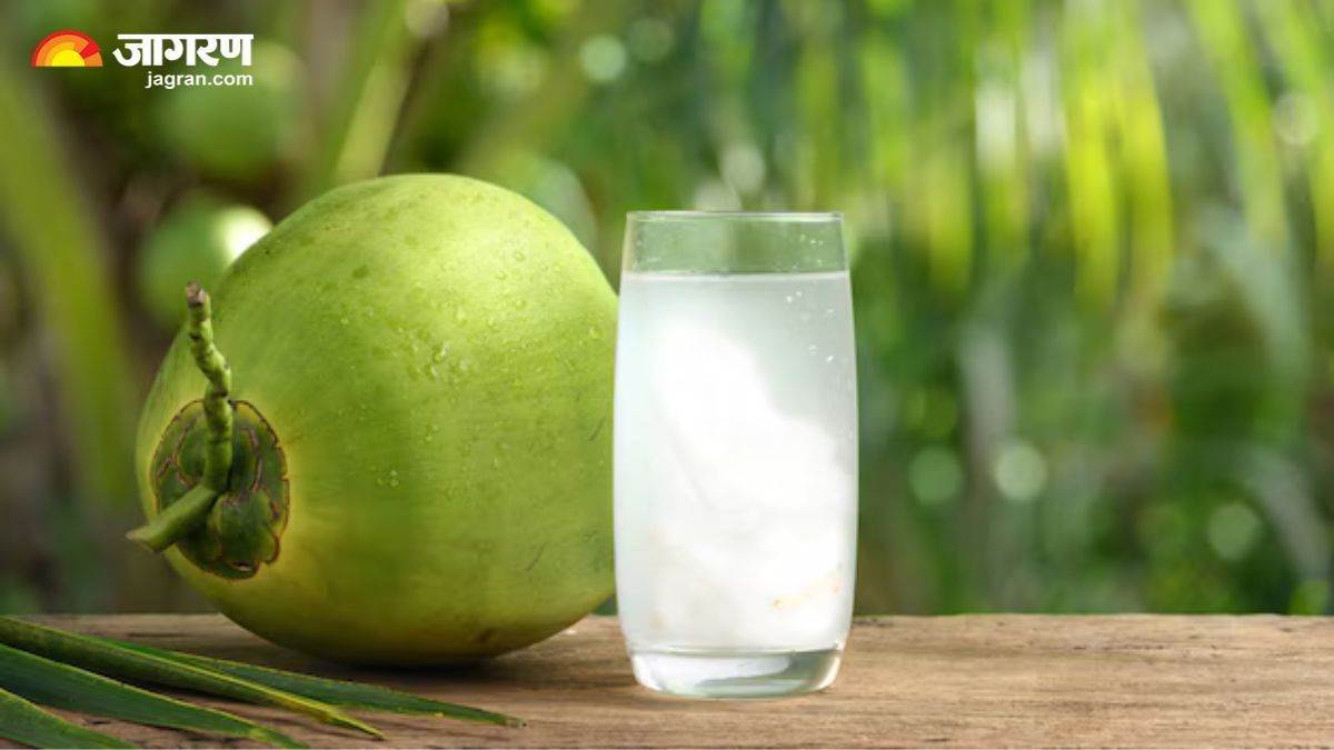 https://www.jagranimages.com/images/newimg/02092025/02_09_2025-coconut_daab_24032945.jpg