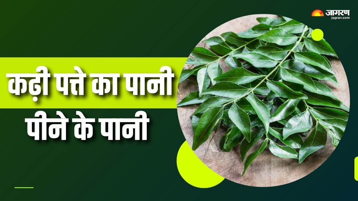 https://www.jagranimages.com/images/newimg/02092025/02_09_2025-curry_leaves_water_benefits_1_24032913.jpg