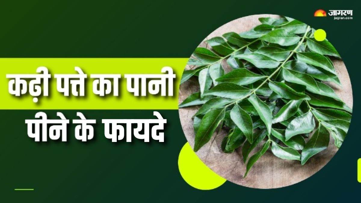 https://www.jagranimages.com/images/newimg/02092025/02_09_2025-curry_leaves_water_benefits_2_24032913_161544176.jpg