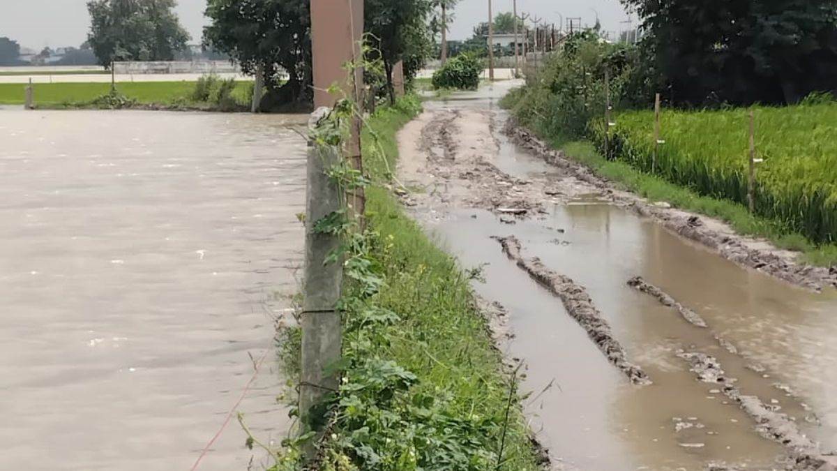 https://www.jagranimages.com/images/newimg/02092025/02_09_2025-faridabad_flood_24033289.jpg