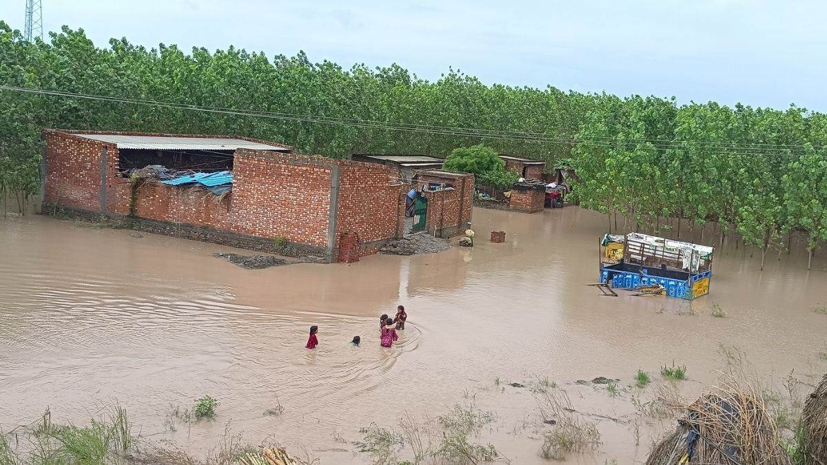 https://www.jagranimages.com/images/newimg/02092025/02_09_2025-haryana_flood_4_24033350.jpg