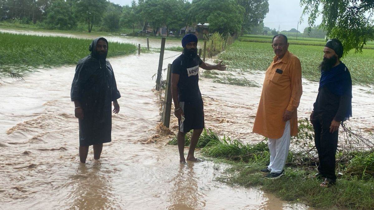 https://www.jagranimages.com/images/newimg/02092025/02_09_2025-hoshiarpur__24032842.jpg