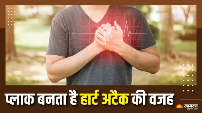 प्लाक साफ करने में मदद करेंगे ये टिप्स (Picture Courtesy: Freepik)