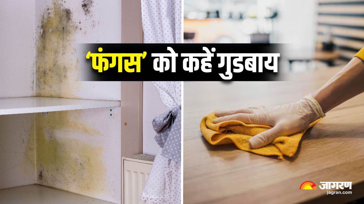 https://www.jagranimages.com/images/newimg/02092025/02_09_2025-monsoon_fungus_prevention_24032856.jpg