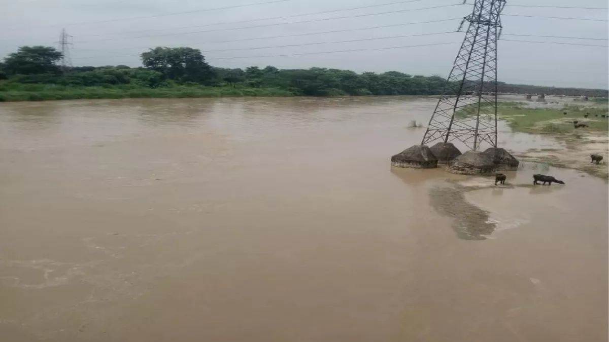 https://www.jagranimages.com/images/newimg/02092025/02_09_2025-rampur_news_24032785.jpg