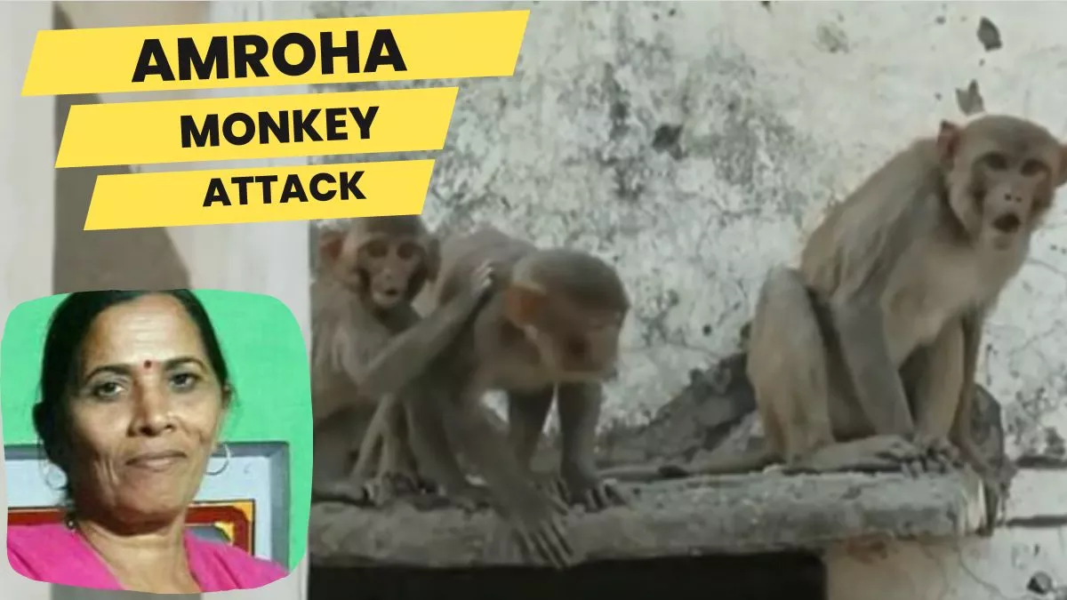 Amroha Monkey Attack : बंदर के हमले में जान गंवाने वाली महिला कमलेश शर्मा का फाइल फोटो। स्वजन