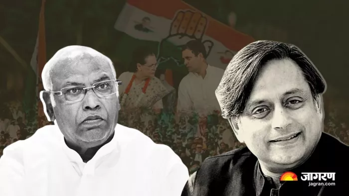 मल्लिकार्जुन खड़गे ने कहा कि वे चुनाव में किसी के खिलाफ नहीं उतरे हैं।
