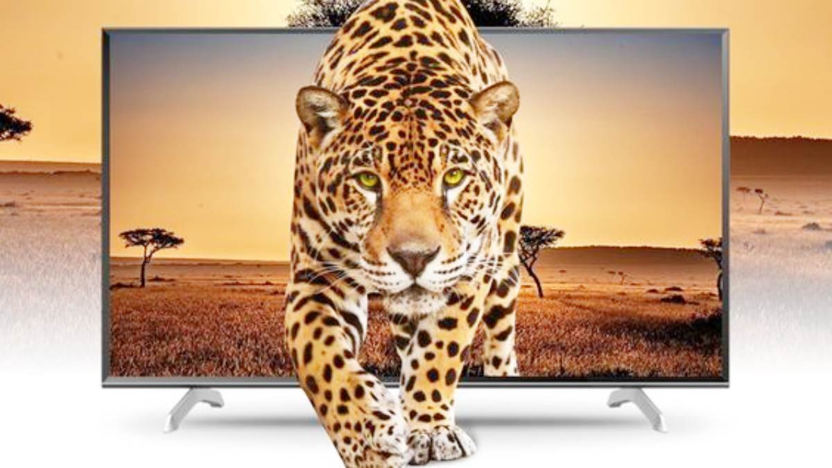 कम कीमत में मिल रहे हैं सबसे बेस्ट Mi Smart TV! 4K वीडियो क्वालिटी और 3D साउंड की बन गई हैं दुनिया दीवानी