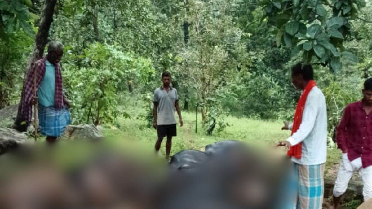30 buffaloes die in lightning strike in kaimur hills dehri