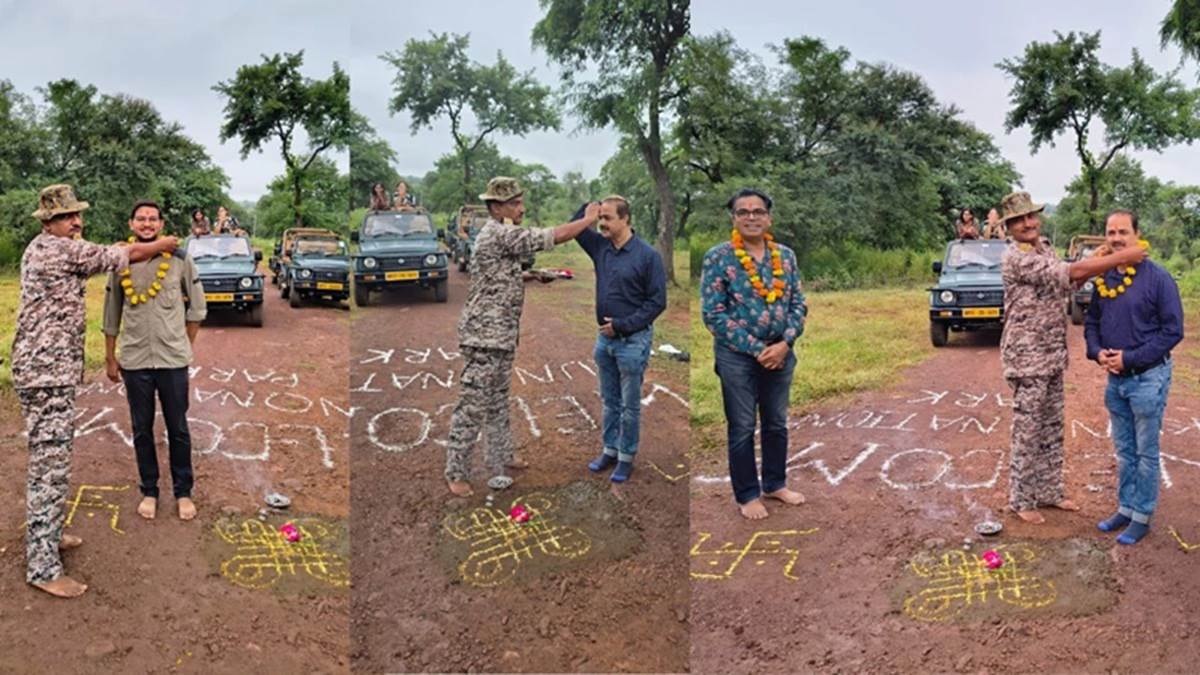 three years after the leopards were introduced tourists were allowed to enter kuno for the first time