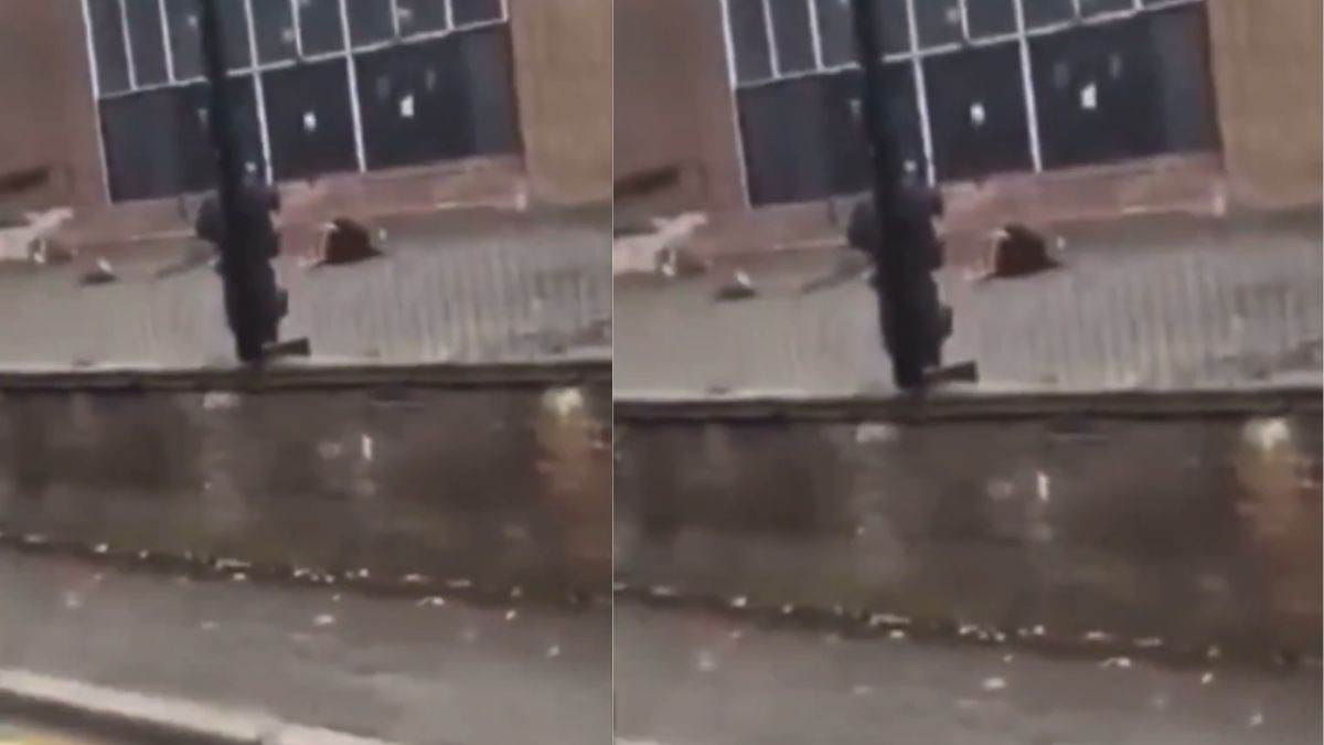 manchester attack 2 dead 3 injured in knife and car attack outside prayer hall